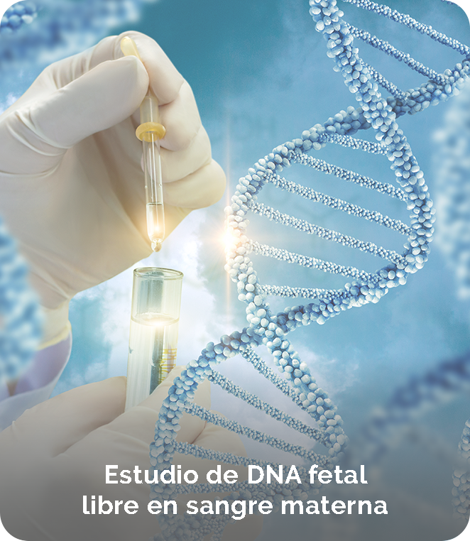 Estudio-DNA