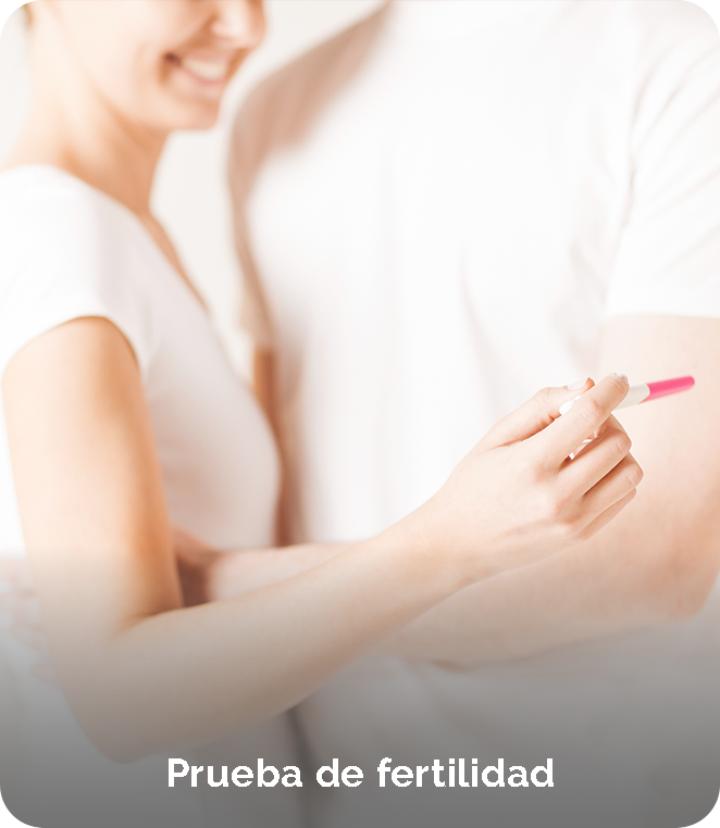 prueba fertilidad