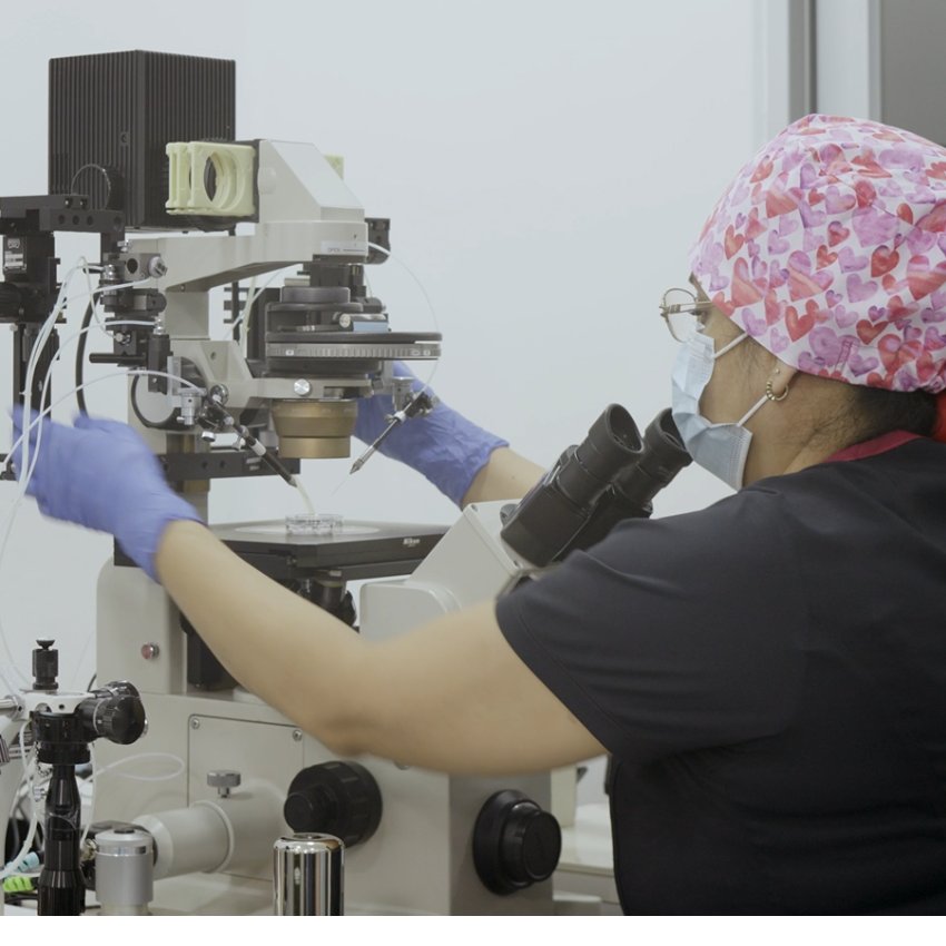 Fertilizacion in vitro sin dolor en Queretaro