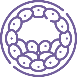 Fertilizacion in vitro con ovulos propios Queretaro