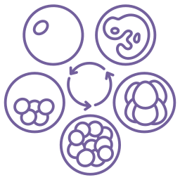 FIV en Queretaro con laboratorio de ultima generacion