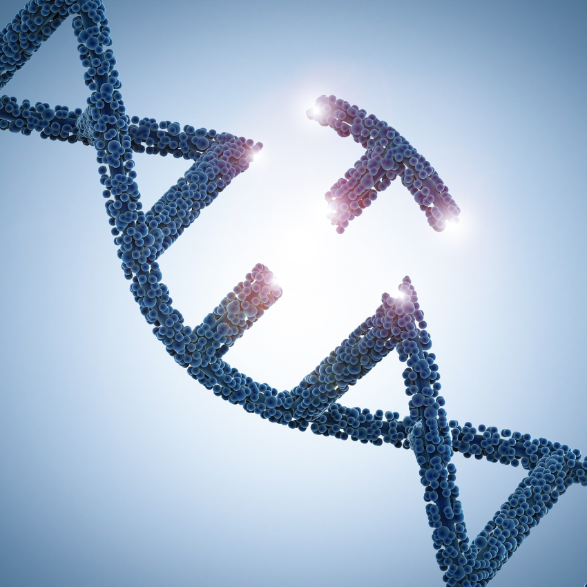 Test de pruebas de portadores para fertilidad Queretaro